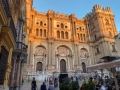 IMG-20211101-WA0003